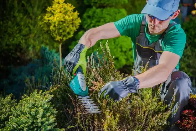 landscaping services Deepwater